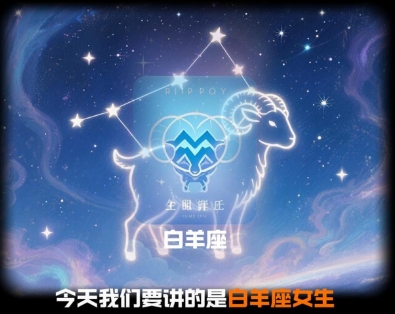 十二生肖视频